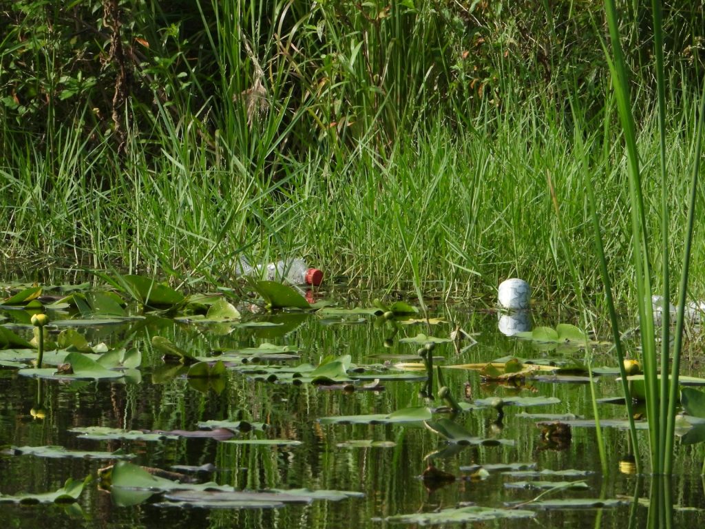 a white ball floating on top of a body of water